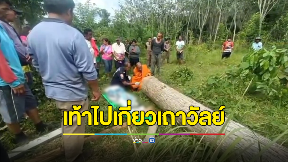 รับจ้างโค่นต้นไม้ในสวน ถูกต้นไม้กระดกใส่ปลายคางดับ