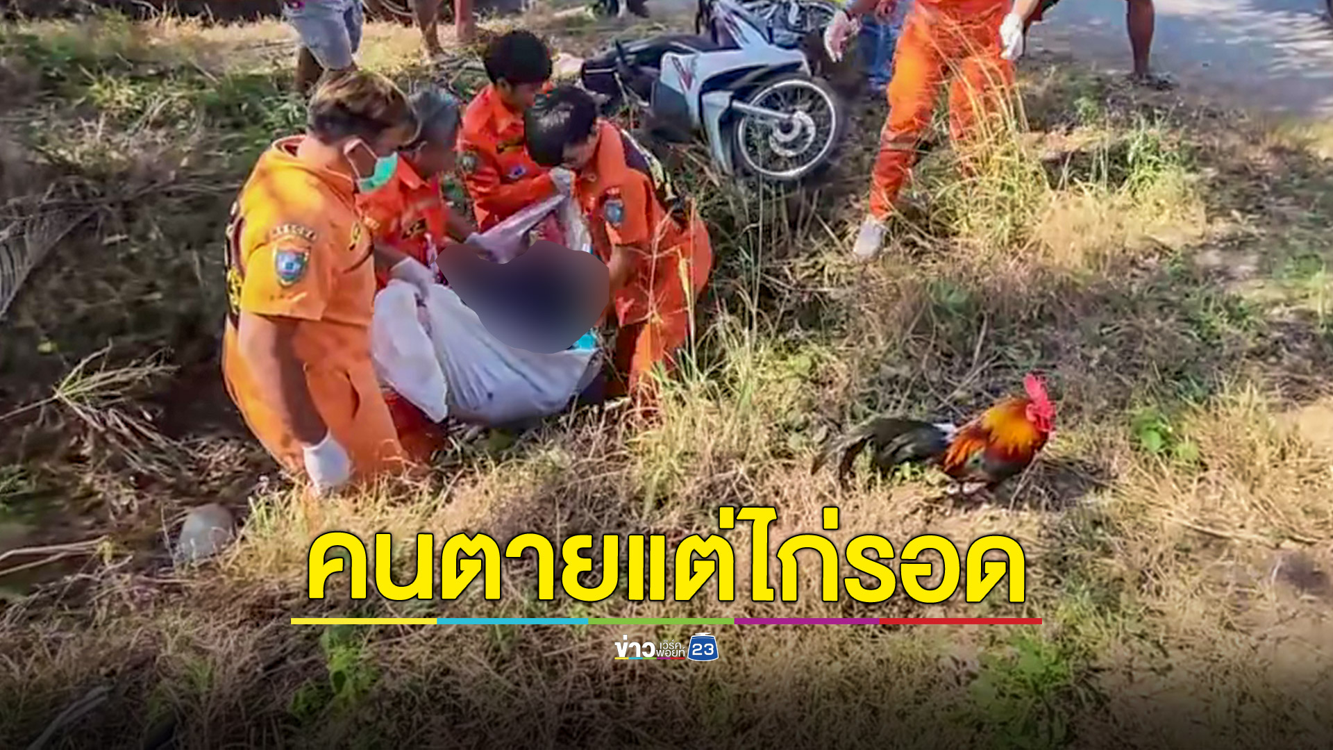 หนุ่มผูกไก่แจ้ไว้ที่เอวขี่จยย.ตกร่องระบายน้ำคอหักดับคาที่