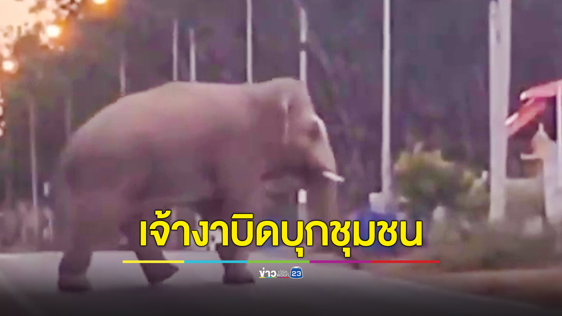 ชาวบ้านผวาส่งท้ายปี ช้างป่าตกมันแตกโขลงออกมาหากินตามชุมชน