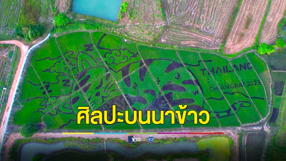 สวยน่าทึ่ง! เนรมิตนาข้าวเป็นรูปแมวนอนกอดปลา โชว์ในงานไทยแลนด์ เบียนนาเล่ เชียงราย