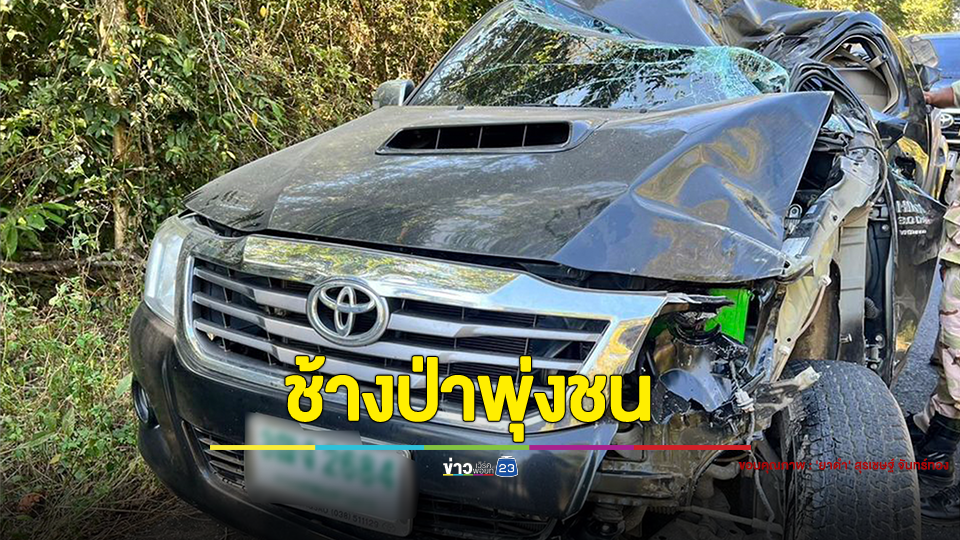 2 สามีภรรยา ขับกระบะกลับบ้านเจอช้างป่าพุ่งชนรถ เมียถูกงาแทงกระดูกหน้าอกหัก
