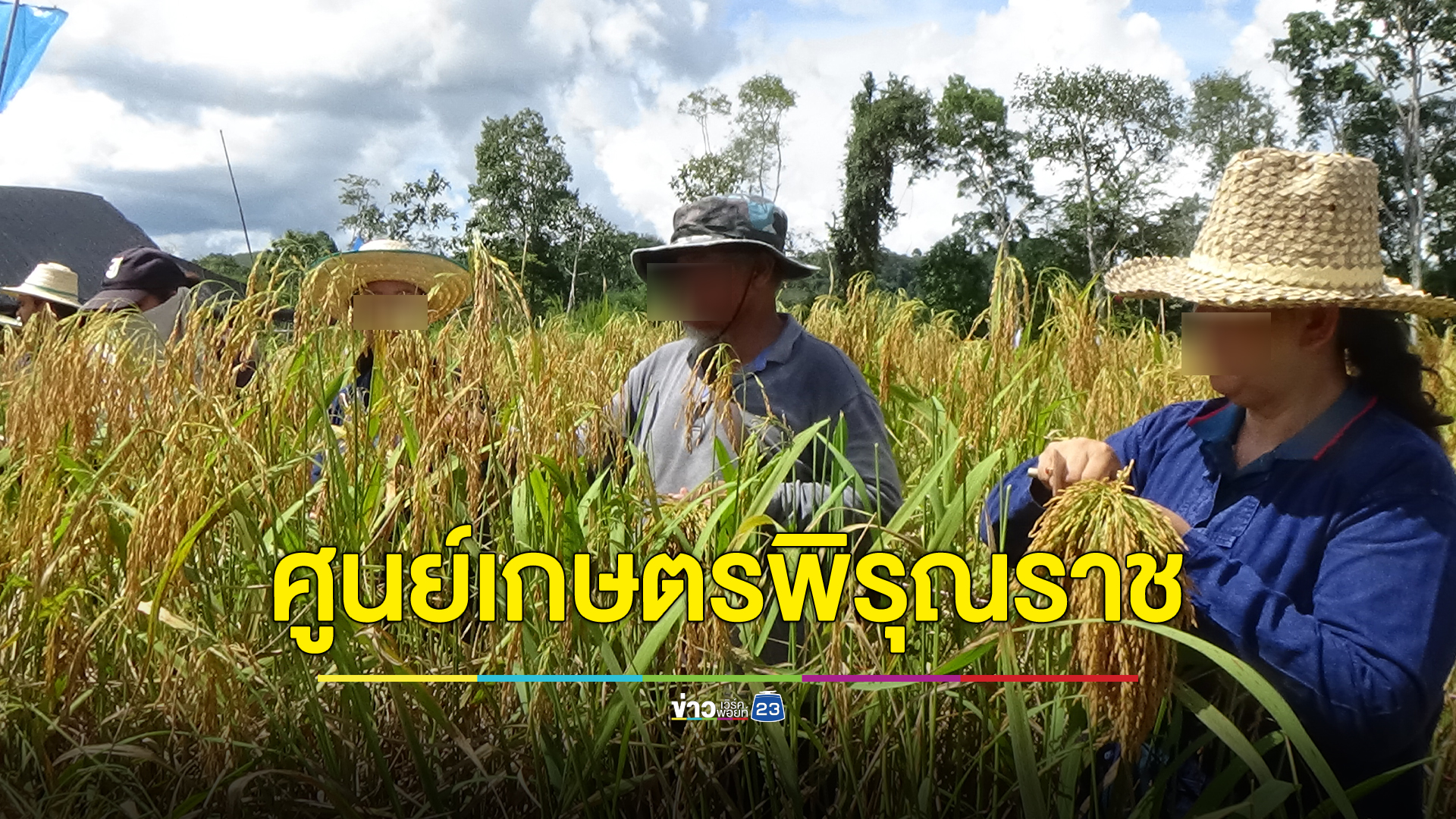 แจ้งได้ที่นี่!"ศูนย์บริการเกษตรพิรุณราช"ช่วยเกษตรกร 6 งานสำคัญ