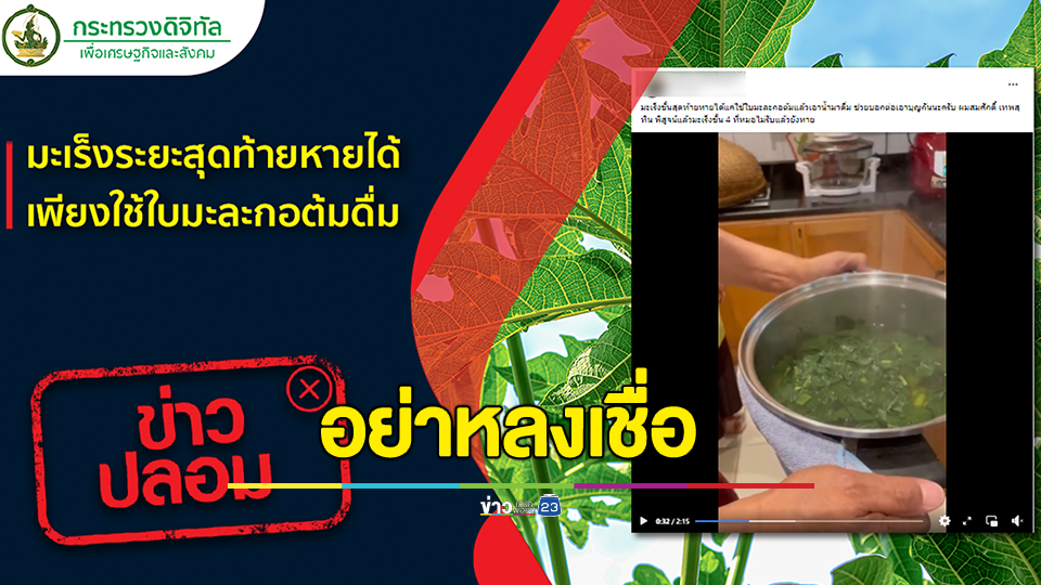 "สมศักดิ์" โพสต์อ้าง ดื่มน้ำต้มใบมะละกอรักษามะเร็ง ศูนย์ข่าวปลอมเตือน "ข้อมูลเท็จ" อย่าหลงเชื่อ