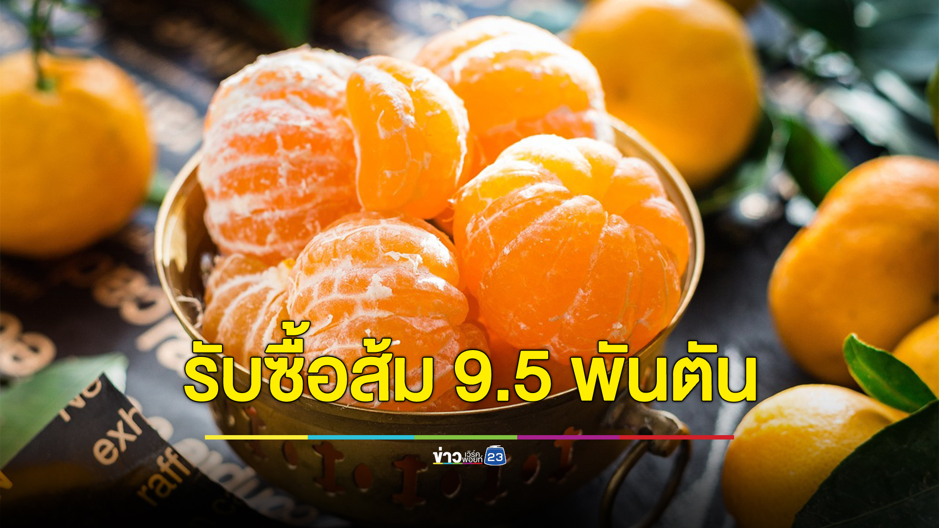 กรมการค้าภายในผนึกกำลังห้างดัง ผู้ประกอบการ รับซื้อส้มเกษตรกร 9.5 พันตัน