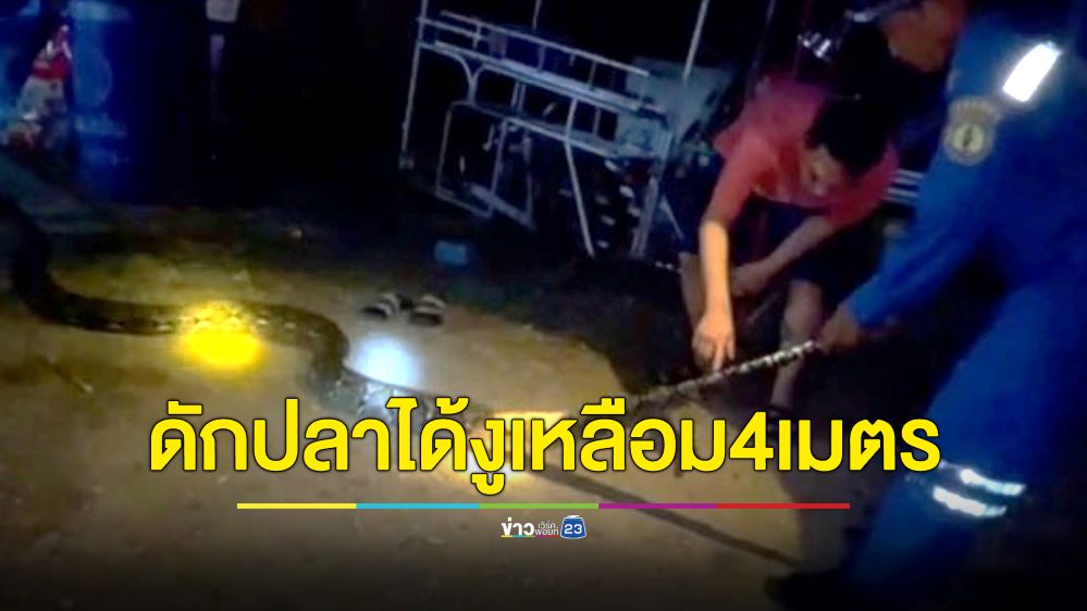 แทบช็อก!ชาวบ้านลงแม่น้ำดักปลา มือคลำเจองูเหลือมยาว 4 เมตร โดดหนีตัวปลิว