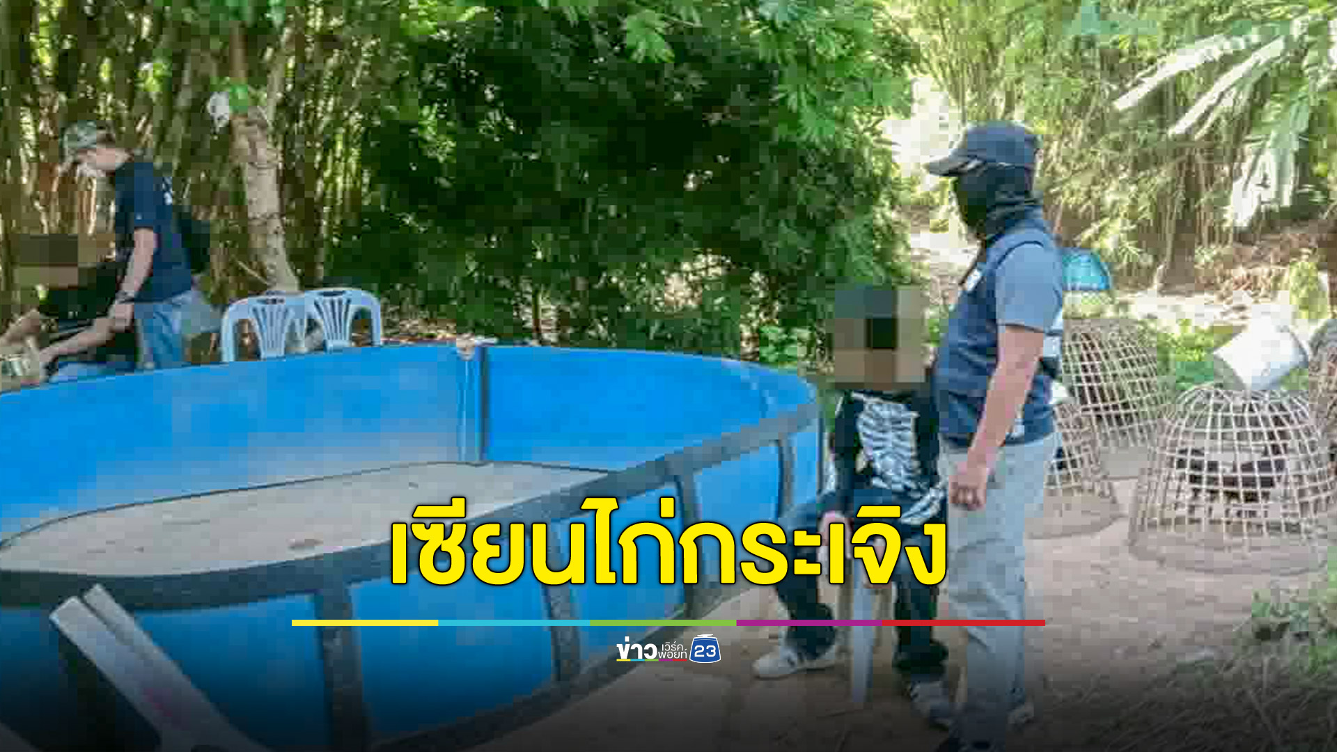 ไก่ชนแตกกระเจิงหลังฝ่ายปกครองลงพื้นที่จับกุมบ่อน ได้ผู้ต้องหา 2 รายพร้อมของกลางไก่ชน 15 ตัว