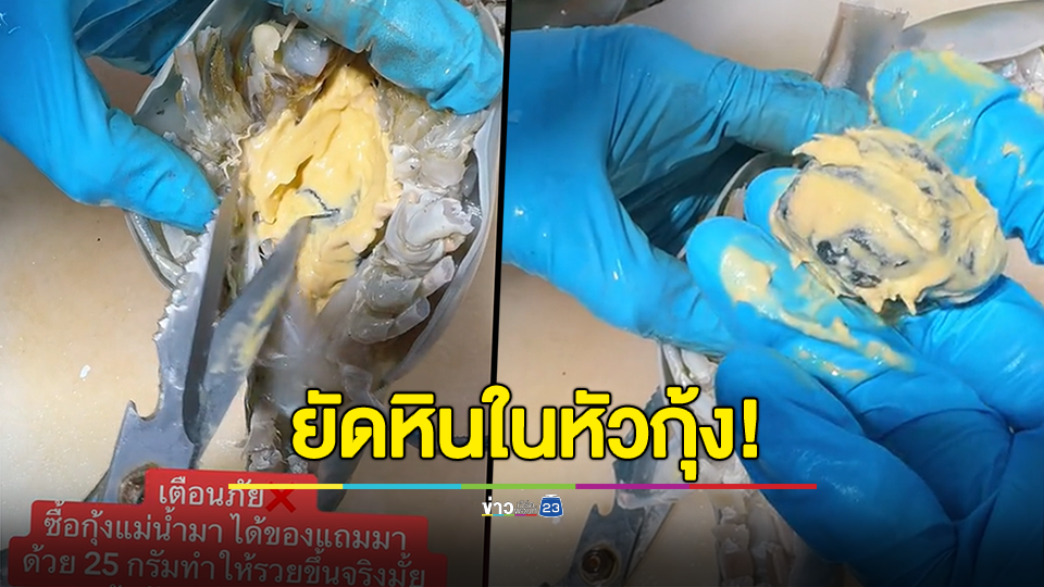 เตือนภัย! ซื้อกุ้งแม่น้ำพบก้อนหินยัดใส่ในหัวกุ้ง พ้อเปิดร้านอาหารไม่ง่ายจอมาตั้งแต่ตะกั่ว-ลูกแก้ว