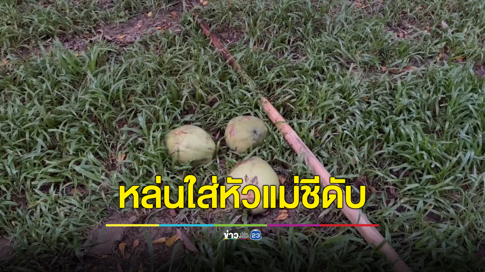 แม่ชีสูงวัยถูกลูกมะพร้าวหล่นใส่หัวเสียชีวิต ขณะที่กำลังยืนสอยเพื่อนำไปทำอาหารเลี้ยงผู้มาปฏิบัติธรรม