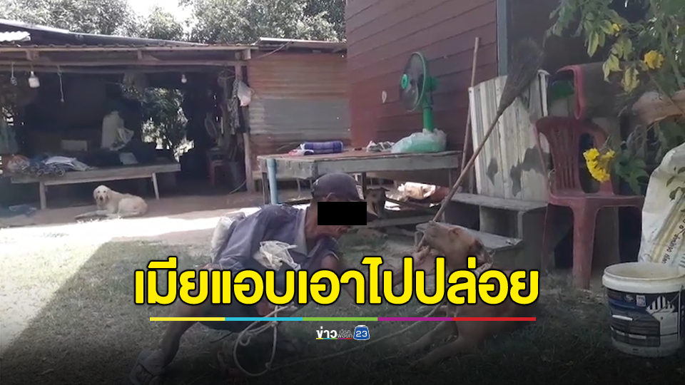 มารับไปแล้ว! หลังเมียแอบเอาพิตบูลไปปล่อยไว้ที่วัด ทำให้พระเดือดร้อนหนัก โยมไม่กล้าเข้าวัดทำบุญ