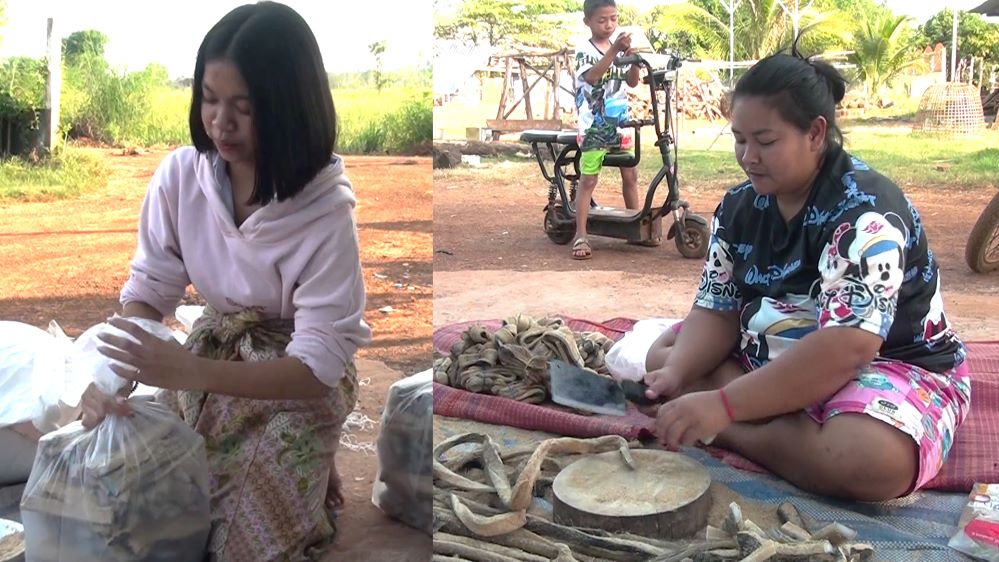 พ่อค้าเร่งผลิต ‘หนังเค็มจี่’ เมนูฮิตข้างกองไฟ ยอดสั่งซื้อพุ่งวันละหลายหมื่นบาท