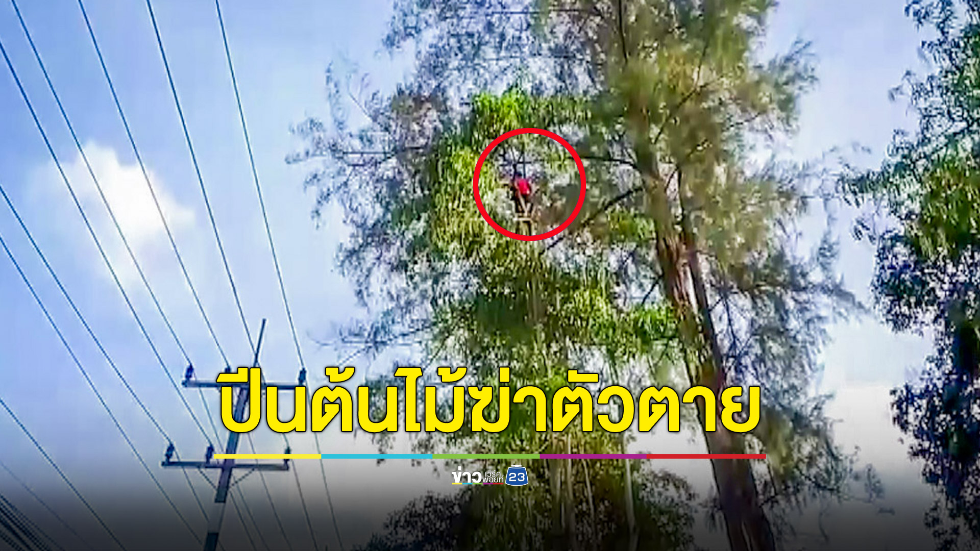 หนุ่มเครียดอดีตภรรยาหลอกดาวน์รถ สติหลุดปีนต้นไม้หวังฆ่าตัวตาย