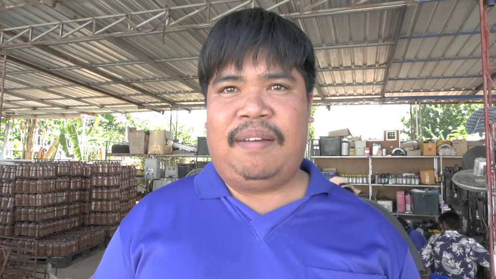 หนุ่ม 25 เพาะเห็ดนางฟ้าระบบปิด ใช้ไฟเรืองแสงกระตุ้นเห็ดโตเร็ว ออกทุกฤดูกาล