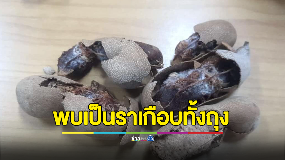เจ้าถิ่นโดนเองซื้อมะขามหวานไปฝากเพื่อนต่างจังหวัด เปิดออกดูพบเป็นราเกือบทั้งถุง