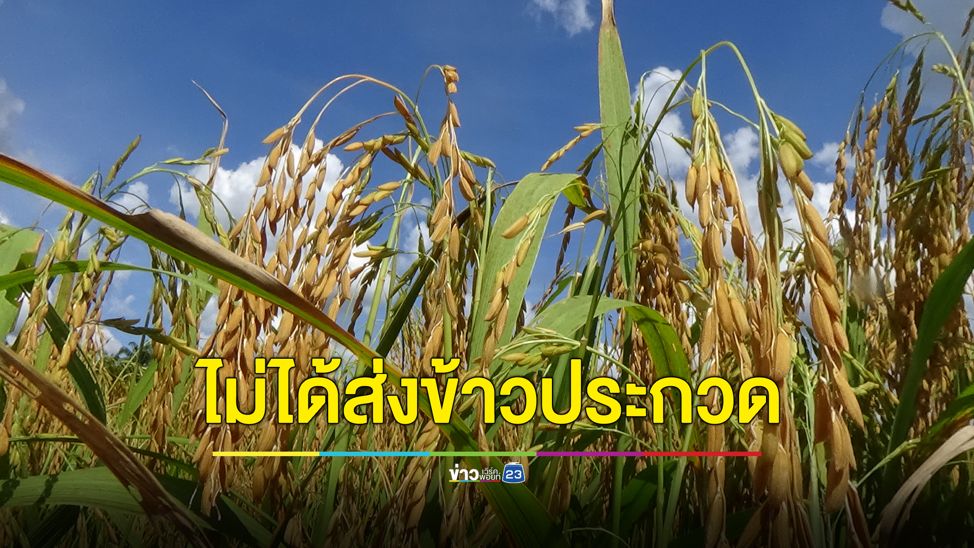 นายกฯ สมาคมผู้ส่งออกข้าวไทย แจงไม่ได้ส่งข้าวประกวด