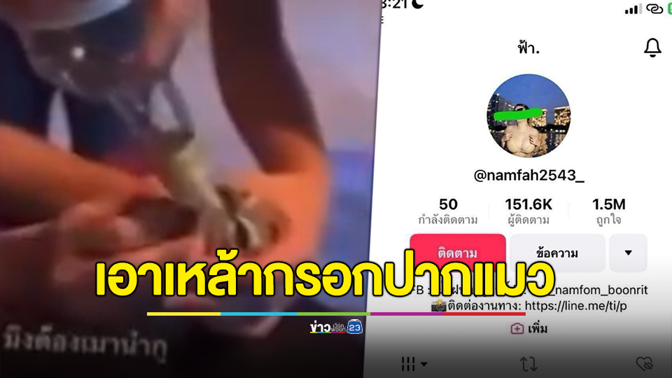 ทาสแมวไม่ถูกใจสิ่งนี้! สาวดาวติ๊กต็อกเอาเหล้ากรอกปากแมว