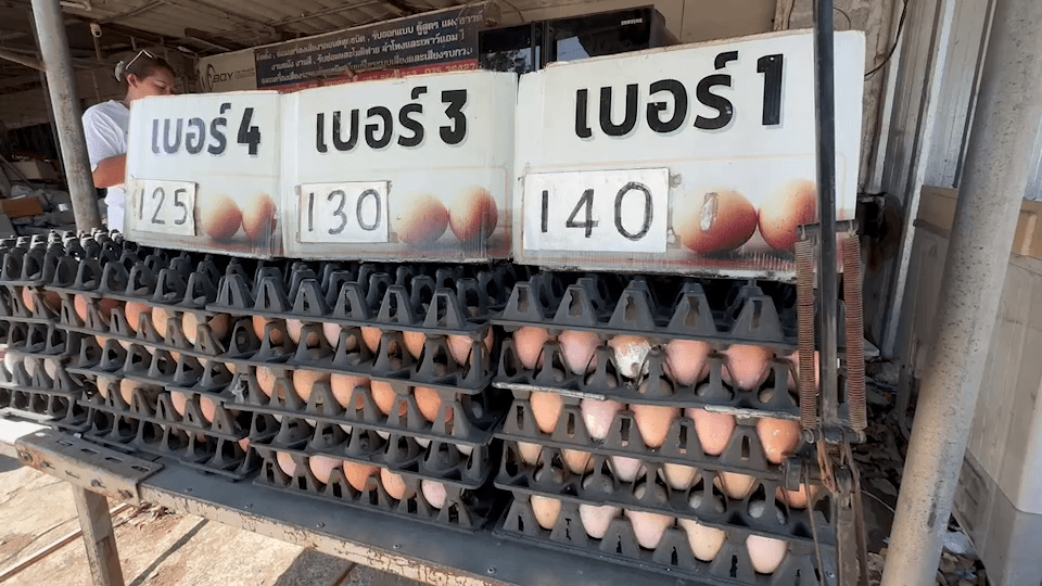 โจรแสบ! ย่องลักทรัพย์ยามวิกาลแอบขโมยแผงไข่ไก่ แต่สุดท้ายอย่างพีค