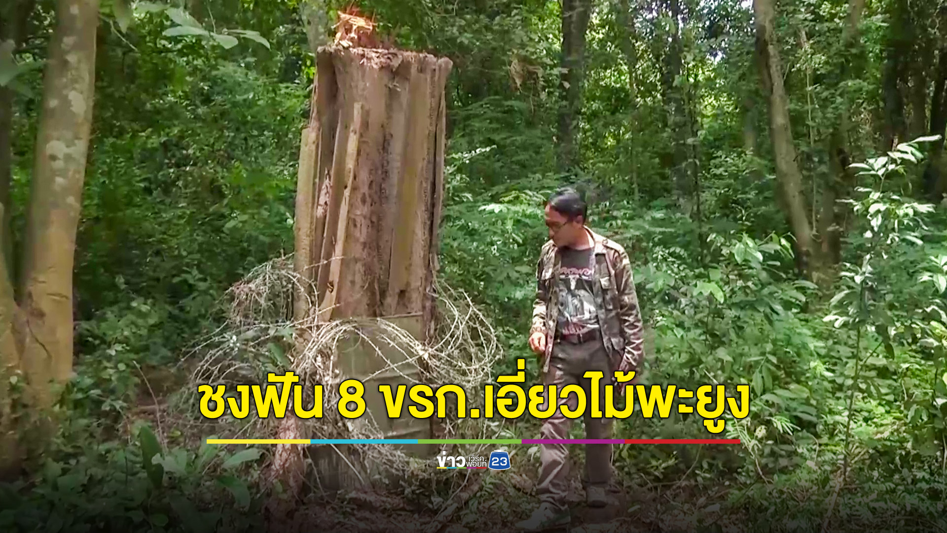 พ่อเมืองน้ำดำส่งดาบผู้การฯชงคดีไม้พะยูงยื่นอัยการฟัน 8 ข้าราชการ