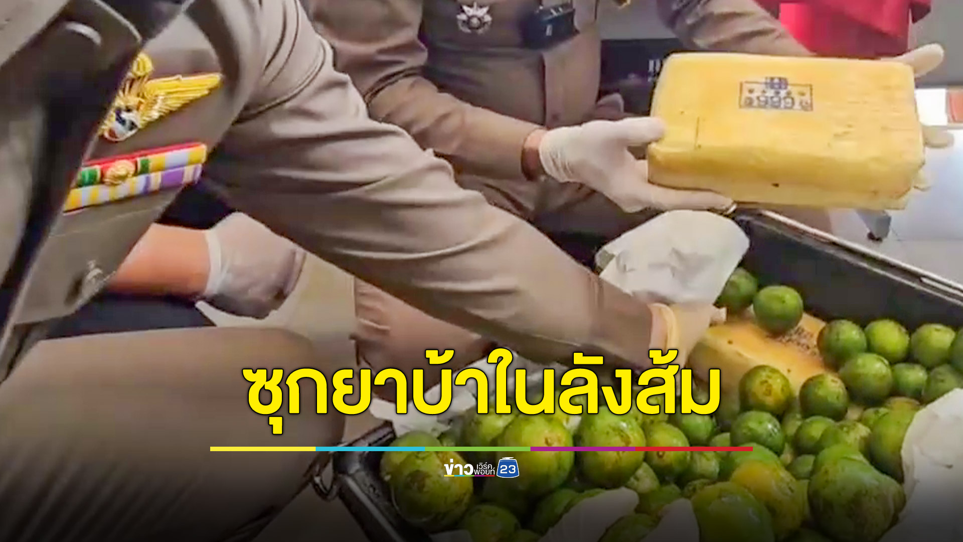จับยาบ้า 4.9 ล้านเม็ดซุกลังส้ม