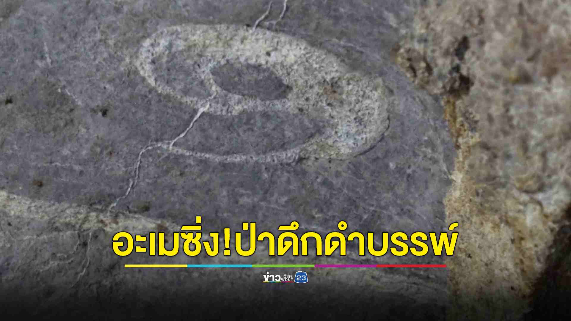 พาลอดถ้ำทะลุ ชมเห็ดแปลก ศึกษาถิ่นทะเลโบราณ 450 ล้านปี