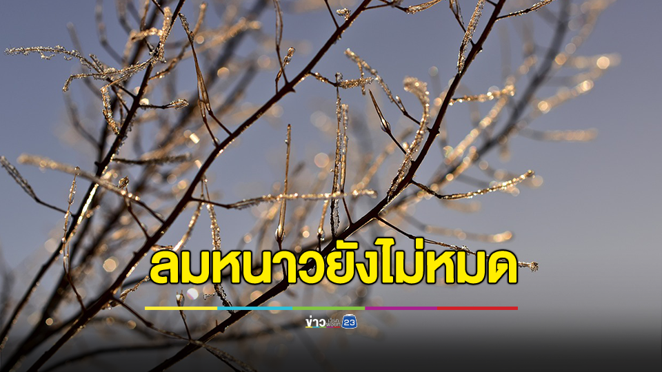 ลมหนาวยังไม่หมด ยอดภูยอดดอยหนาวจัด อุณหภูมิต่ำสุด 4-11 องศา