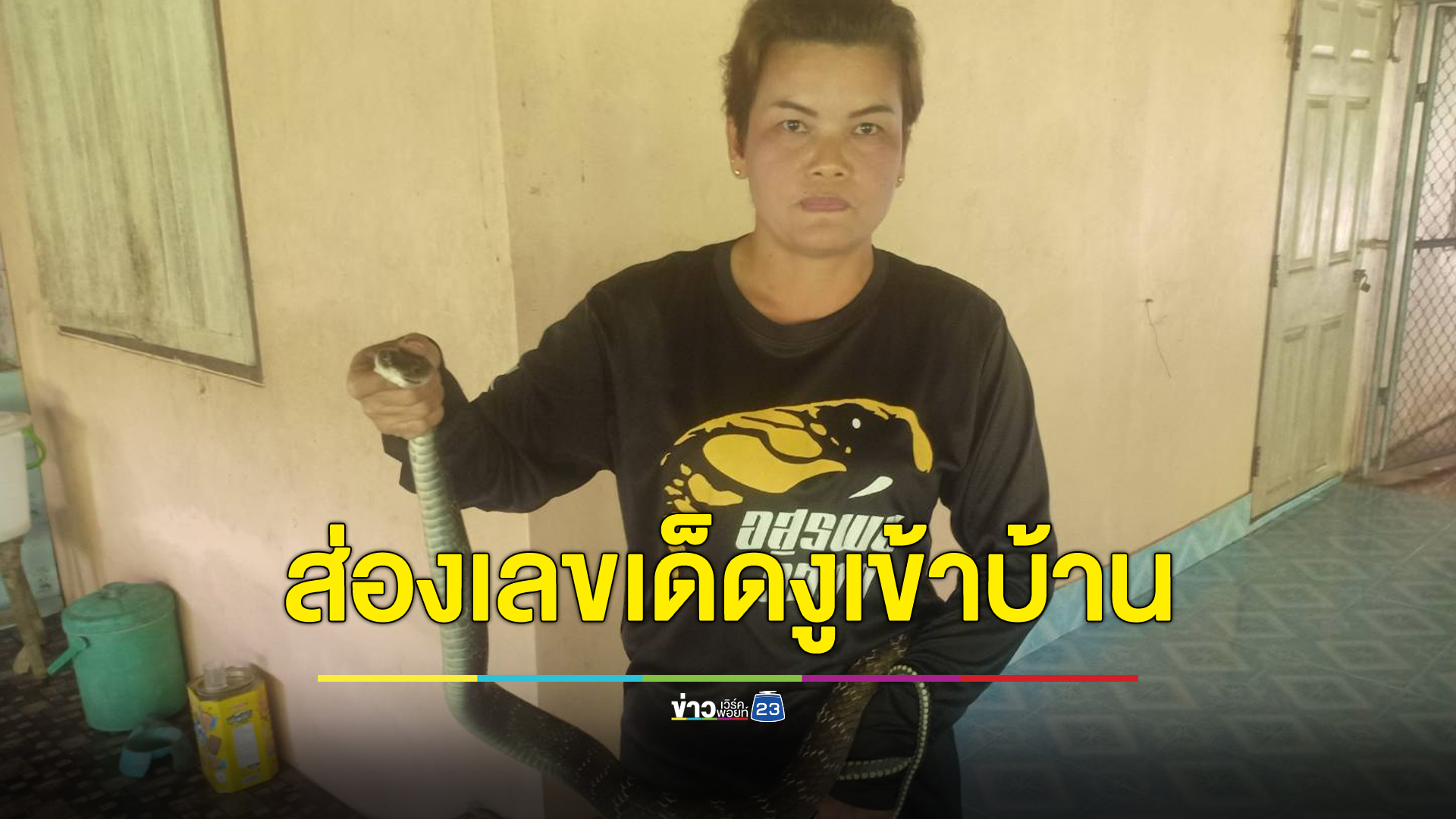 คิดว่าจงอางเข้าบ้าน บุกเข้าจับเป็นงูสิงดง ไม่พลาดแห่เอาเลขที่บ้านเสี่ยงโชค