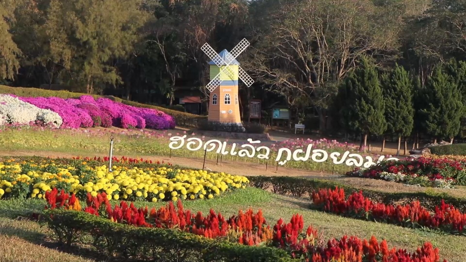 นทท.กางเต็นท์สัมผัสหนาวแรกแห่งปี-ชมแสงแรก