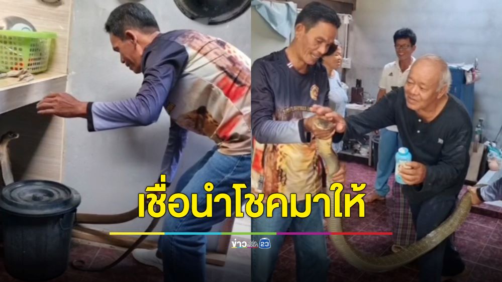 สุนัขเห่าลั่น! เจ้าของบ้านนึกว่าคนมาหา เดินไปดูถึงผงะงูจงอางเกือบ 4 เมตรชูคอขู่ฟ่อ