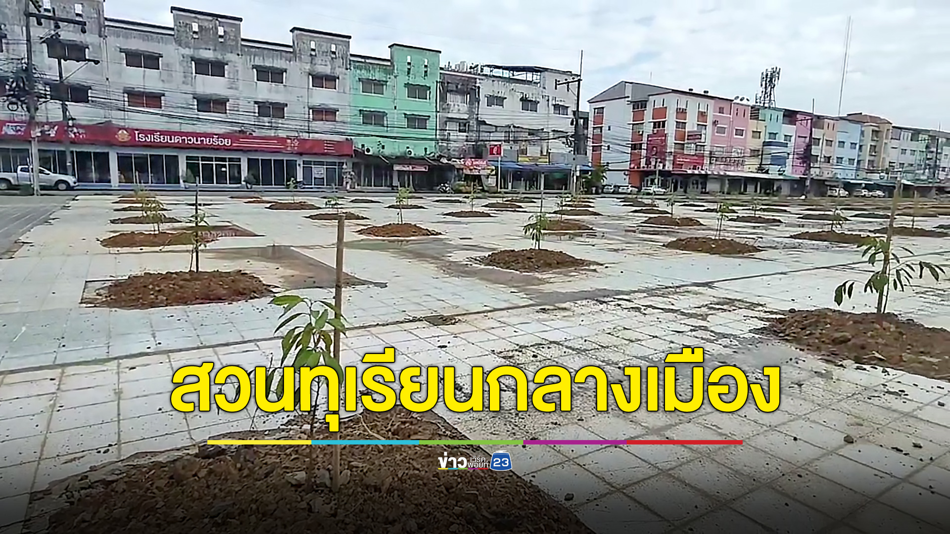 สุดแปลกสวนทุเรียนโผล่กลางเมือง เจาะคอนกรีตปลูก 500 ต้น