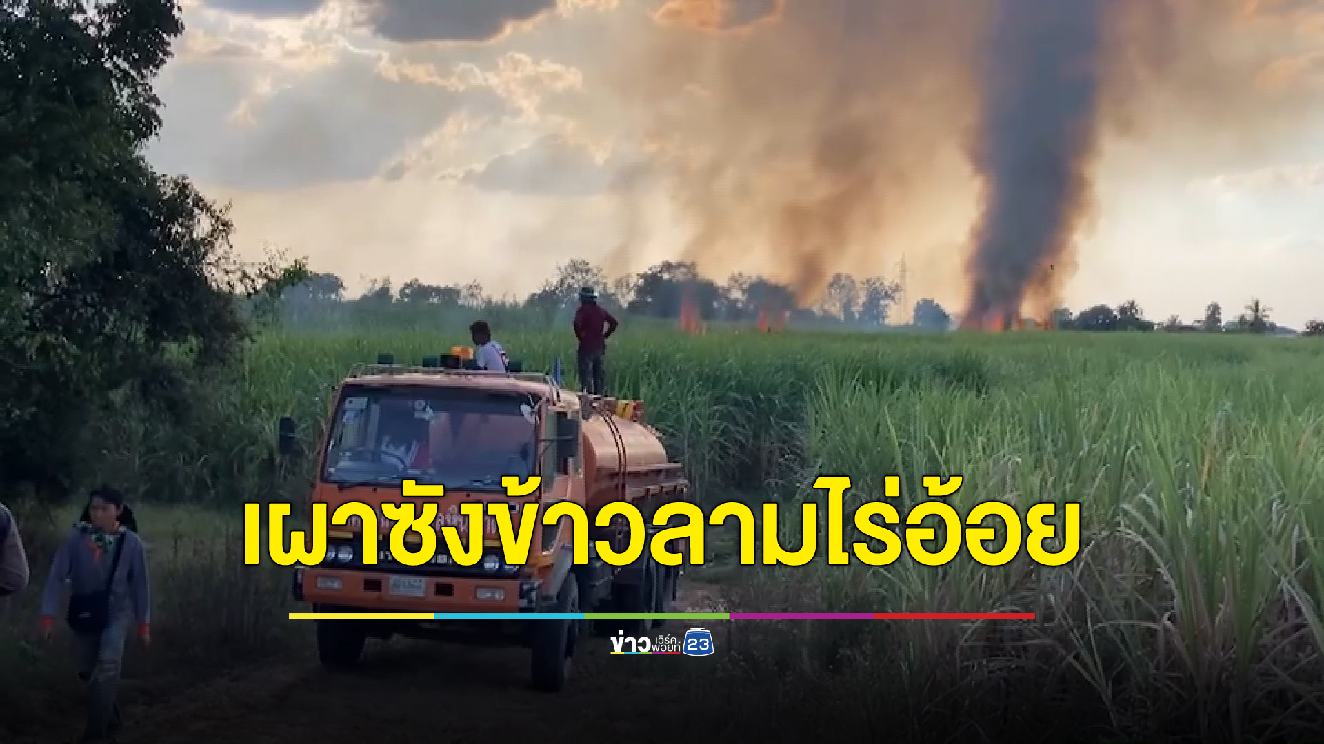 ชาวนาโคราชลอบเผาตอซังข้าวไฟลามเผาไร่อ้อยเสียหาย 50 ไร่