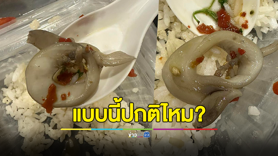 แบบนี้ปกติไหม? สั่งกะเพราทะเลมาปลาหมึกค่อนข้างสีดำ
