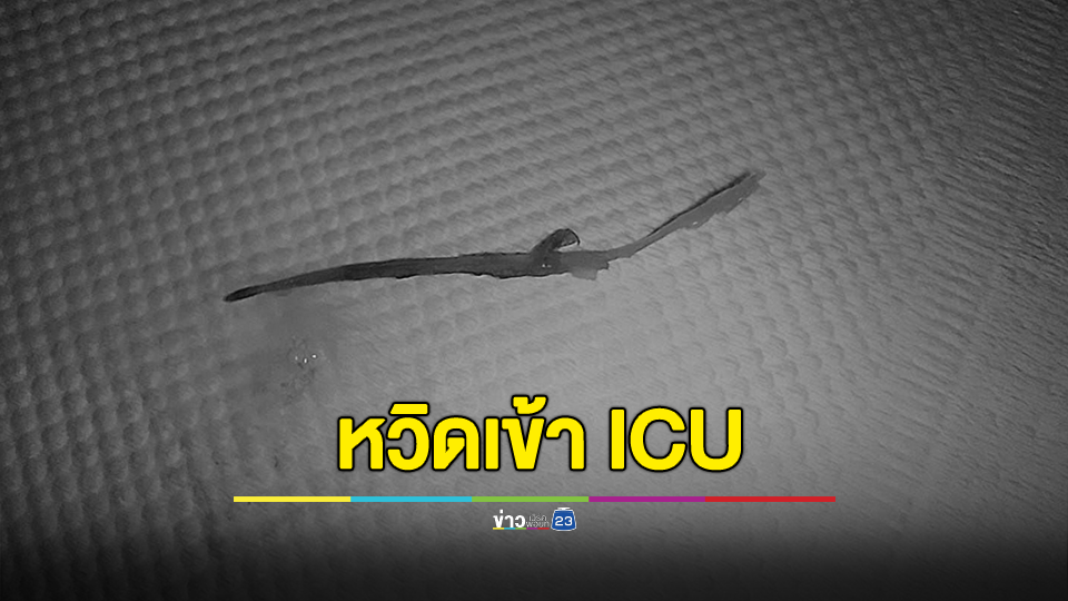 หวิดเข้า ICU โดนเนื้อหมูปิ้งผสมไม้ทิ่มคอ