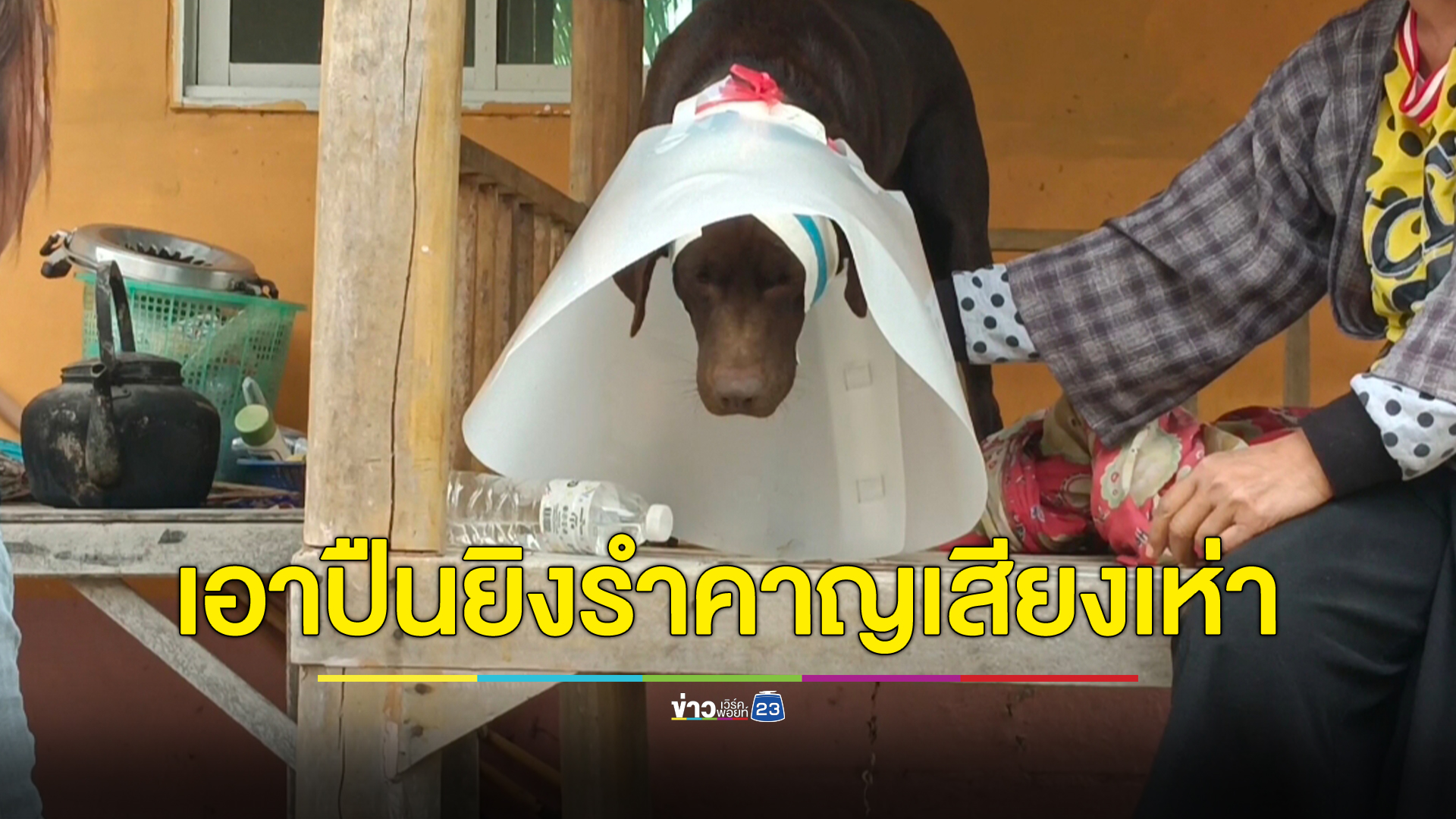เพื่อนบ้านฉุนเสียงสุนัขเห่า เดินถือปืนยิงกรอกปากสุนัขกระสุนฝังในอาการสาหัส