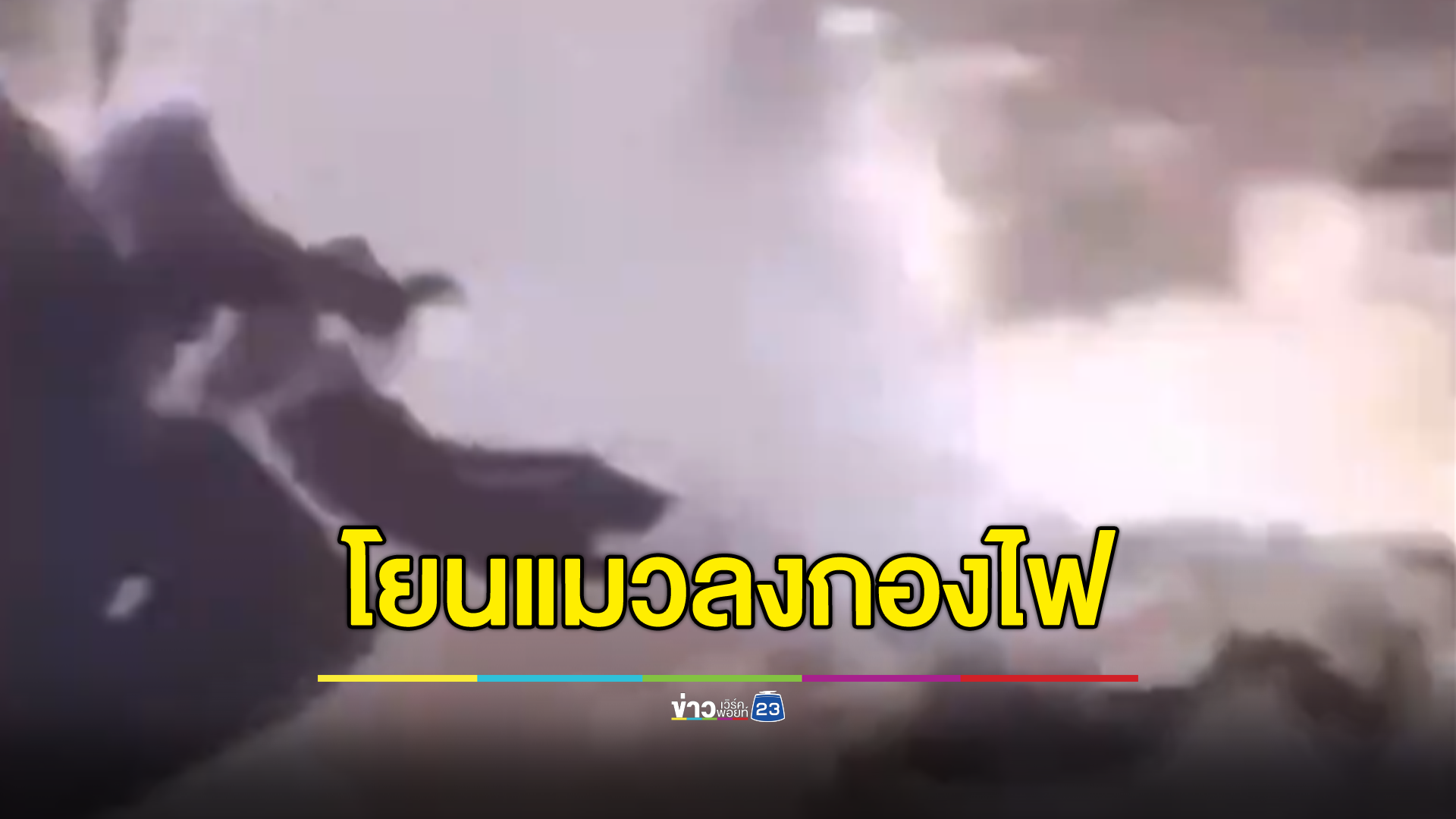 สะเทือนใจ! เด็กหญิงม.ต้น โยนแมวลงกองไฟถ่ายคลิปลงสตอรี่