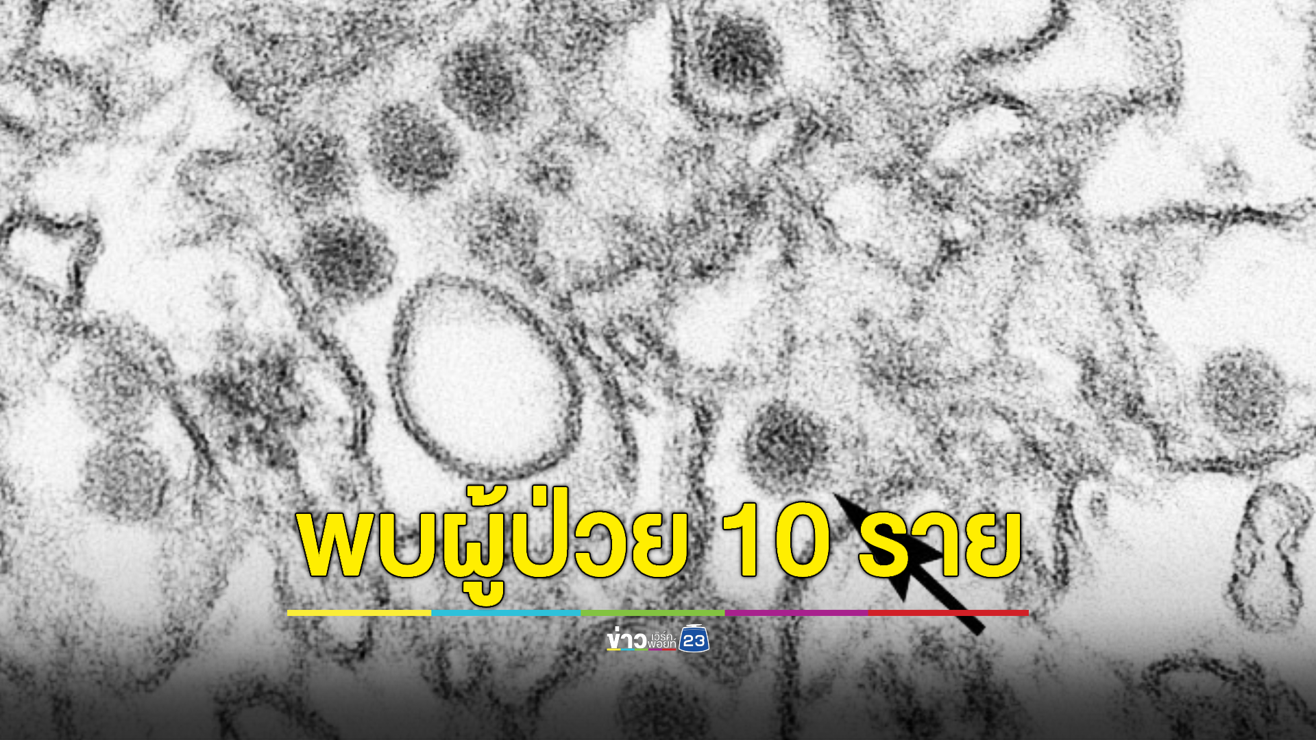 สธ.ประจวบฯ ห่วง 'ไวรัสซิกา' แพร่ระบาดในอำเภอหัวหิน พบผู้ป่วยแล้ว 10 ราย เร่งปรับแผนควบคุม-ป้องกัน เตือน "สตรีตั้งครรภ์" เสี่ยงที่สุด