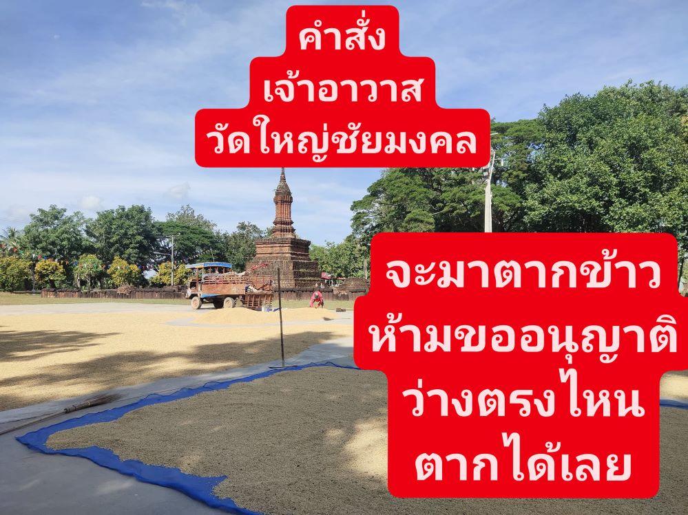 ฮือฮา!เจ้าอาวาสวัดดังสุโขทัยออกคำสั่งด่วน “ห้ามขออนุญาตตากข้าว”