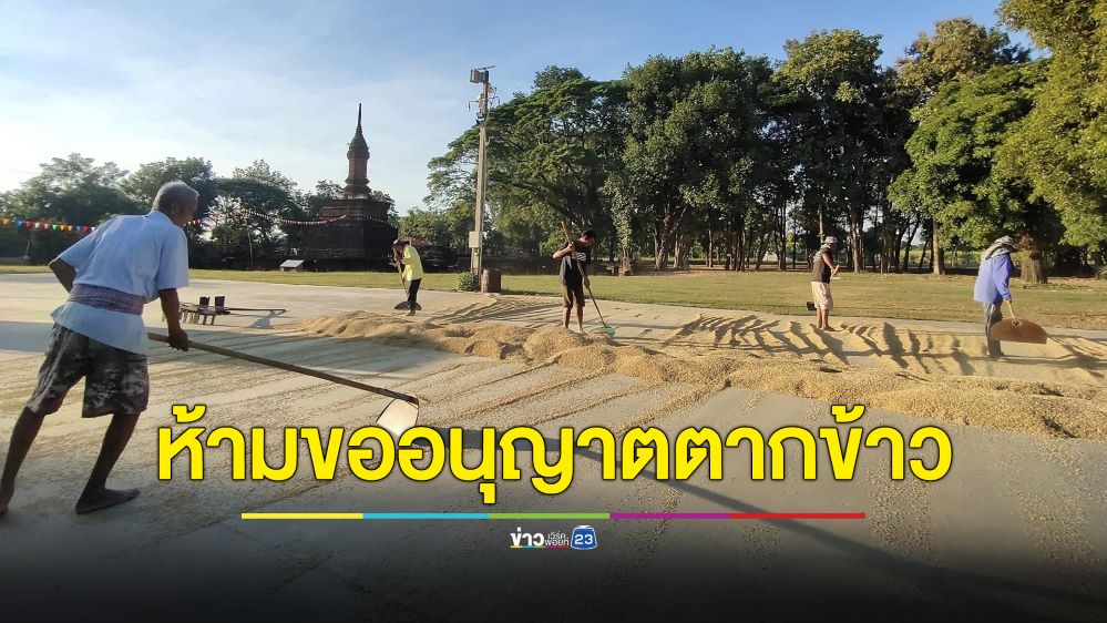 ฮือฮา!เจ้าอาวาสวัดดังสุโขทัยออกคำสั่งด่วน “ห้ามขออนุญาตตากข้าว”