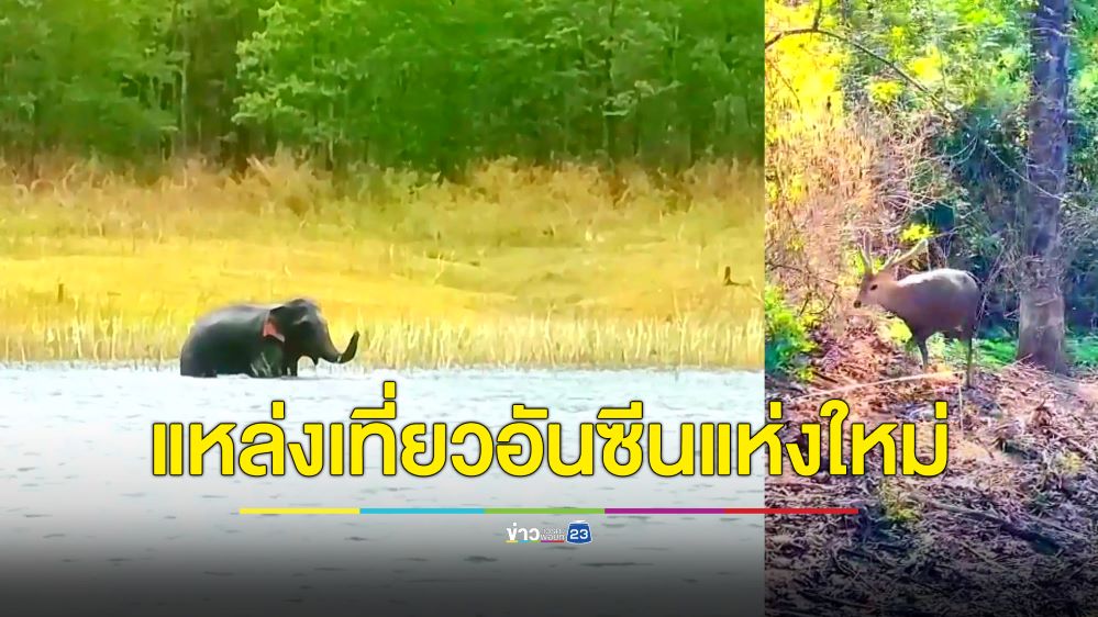 เปิดหมู่บ้านวังทองแหล่งเที่ยวอันซีนแห่งใหม่ กางเต็นท์ริมอ่าง ล่องเรือชมสัตว์ป่าใกล้ชิด