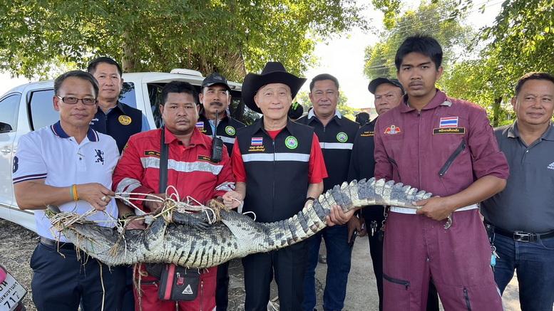 ชาวบ้านผวา! เจอจระเข้ยาว 2.5 เมตร โผล่อาบแดดในคลองรังสิต