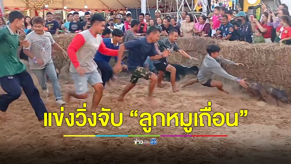 เชียร์ลั่นขอบสนาม แข่งวิ่งไล่จับ “ลูกหมูเถื่อน” ในงานกาชาดจังหวัดชุมพร