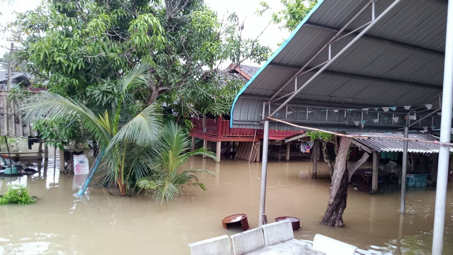 เกาะติดสถานการณ์ฝนตกภาคใต้ เตือน 63 อำเภอต้นเดือน ธ.ค.ตกหนักระวังน้ำท่วมฉับพลัน น้ำป่าไหลหลาก