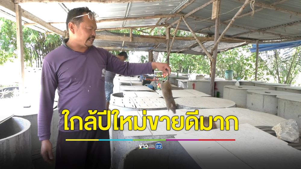 ใกล้ปีใหม่ขายดี! หนูนาชำแหละแช่แข็ง ลูกค้าจองล่วงหน้าเพียบ