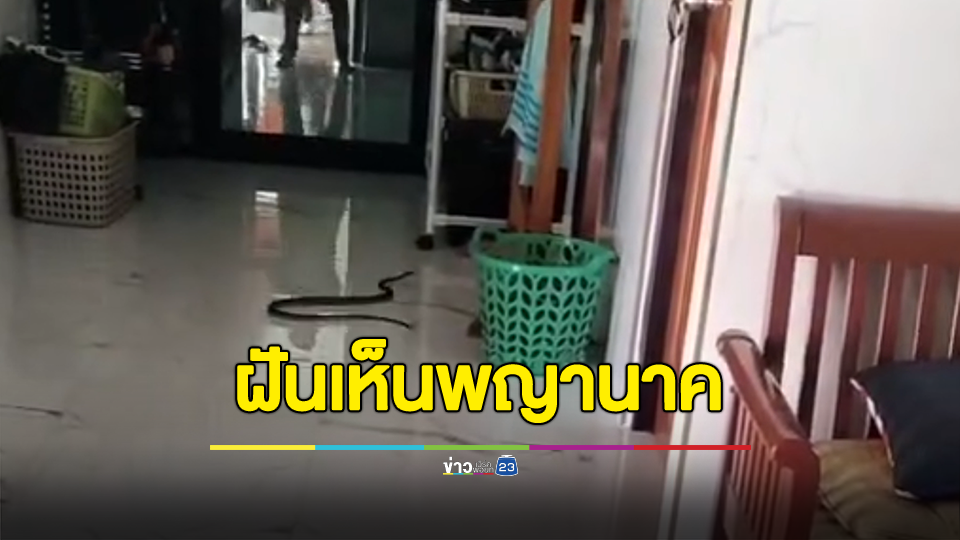 ฝันเห็นพญานาค 2 คืนติด รุ่งเช้าพบงูนอนอยู่ในบ้าน