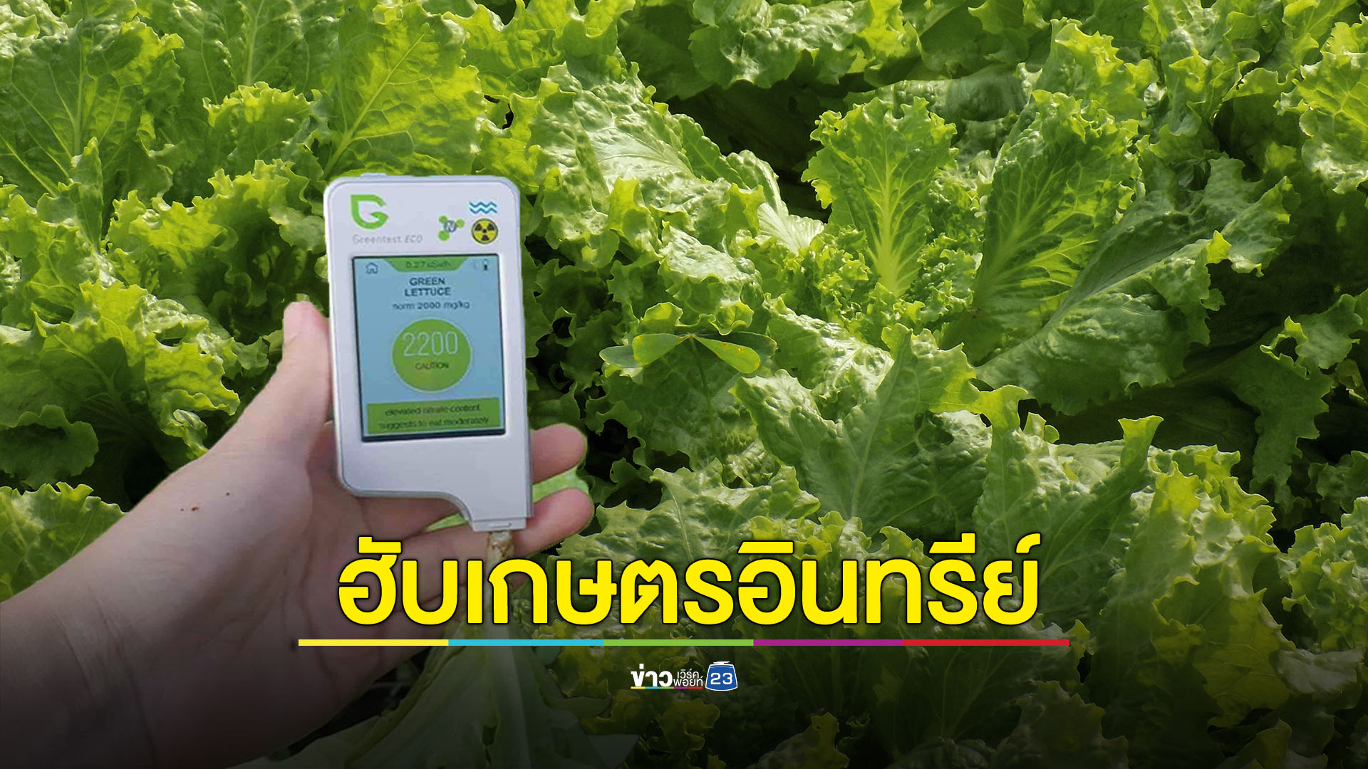 ขับเคลื่อนไทยสู่ฮับเกษตรอินทรีย์