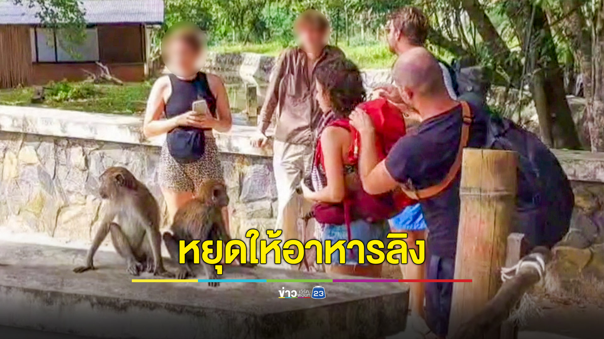 นทท.ให้อาหารลิงแสม ทำพฤติกรรมเปลี่ยนลงจากภูเขาป่วนหน้าชายหาด