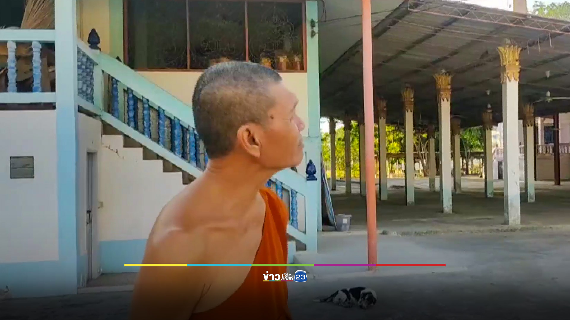 แตนทำรังในวัดเป็นร้อย ต่อยกระเจิงทั้งพระทั้งโยม