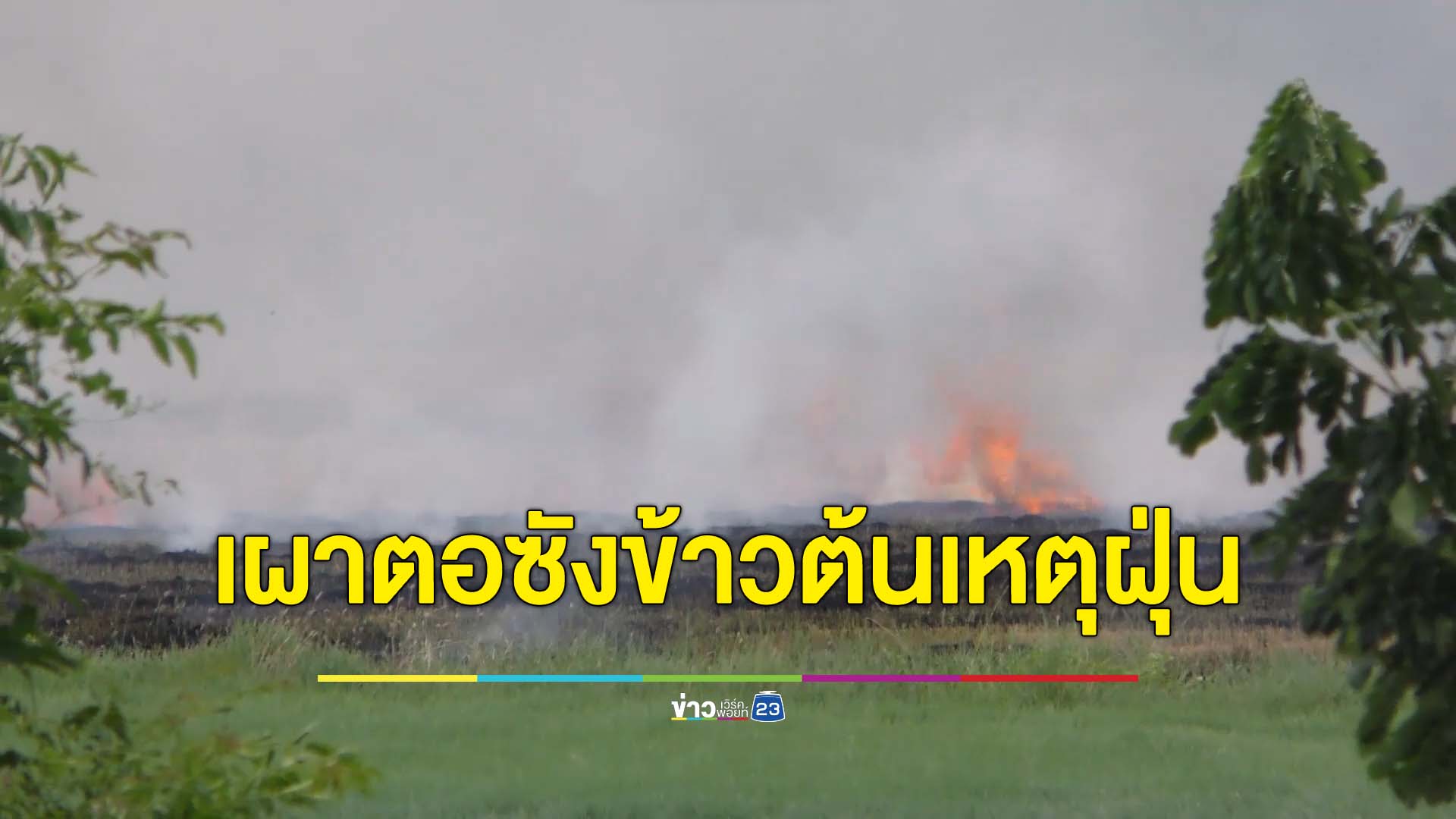 "เผาตอซังข้าว"ต้นเหตุหลักฝุ่น PM2.5 เตือนถูกจับปรับสูง