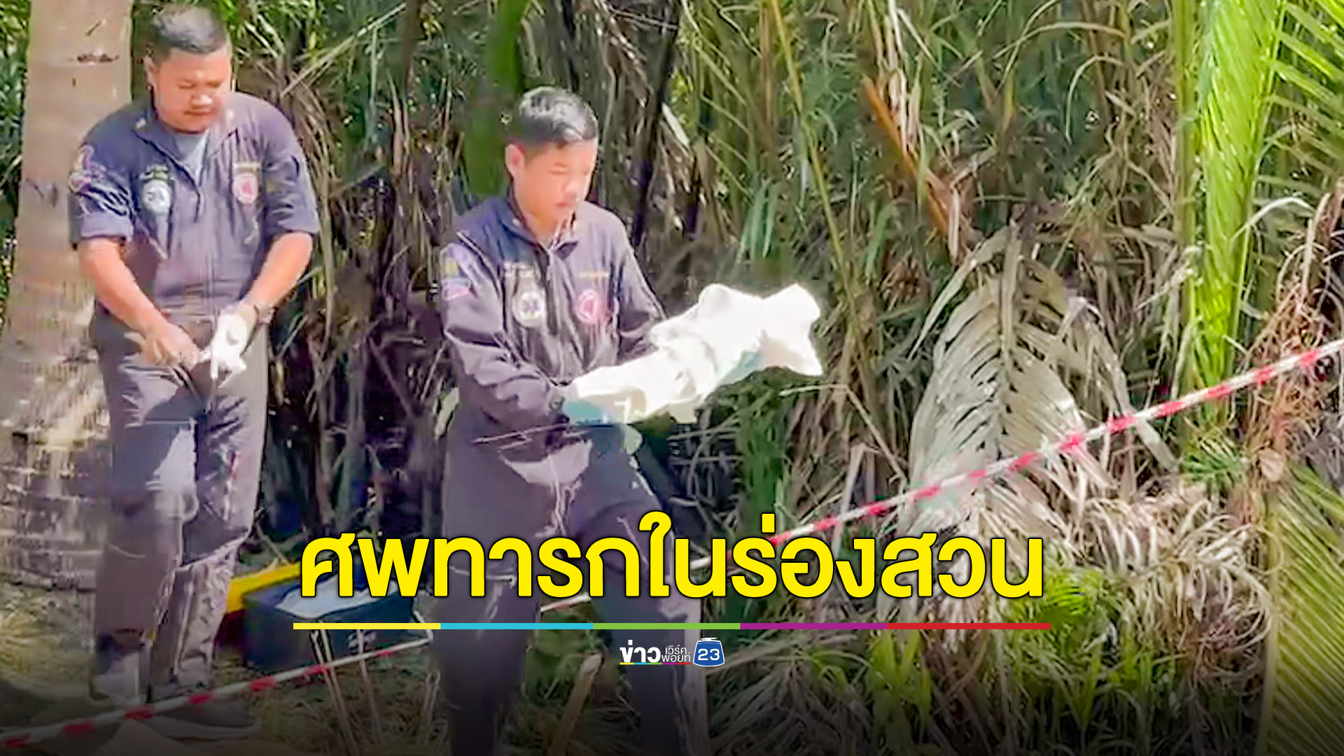พบศพทารกแรกเกิดถูกทิ้งในป่าจากริมถนน