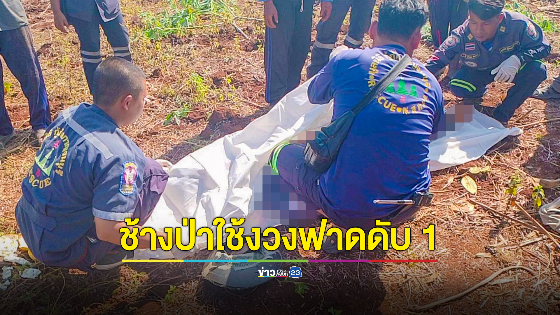 ช้างป่าใช้งวงฟาดหัวคนงานขุดมันดับอนาถ