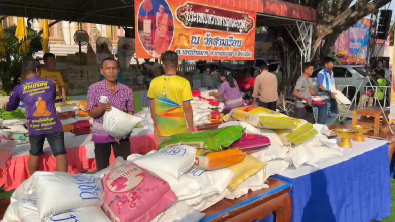 หนึ่งเดียวในไทย “หว่านทานลูกมะกรูด” ที่วัดสามเรือน จ.พิษณุโลก