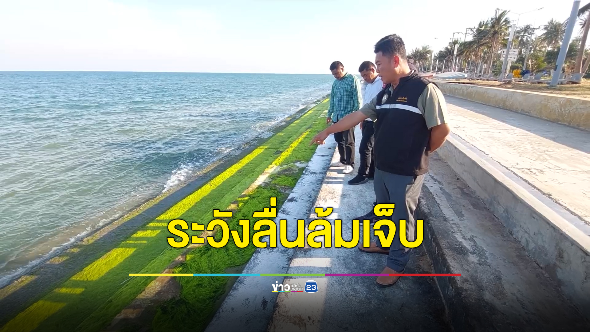 เตือนนทท.หาดปราณบุรี ระวังลื่น"สาหร่ายสีเขียวมรกต" พบบาดเจ็บหลายราย